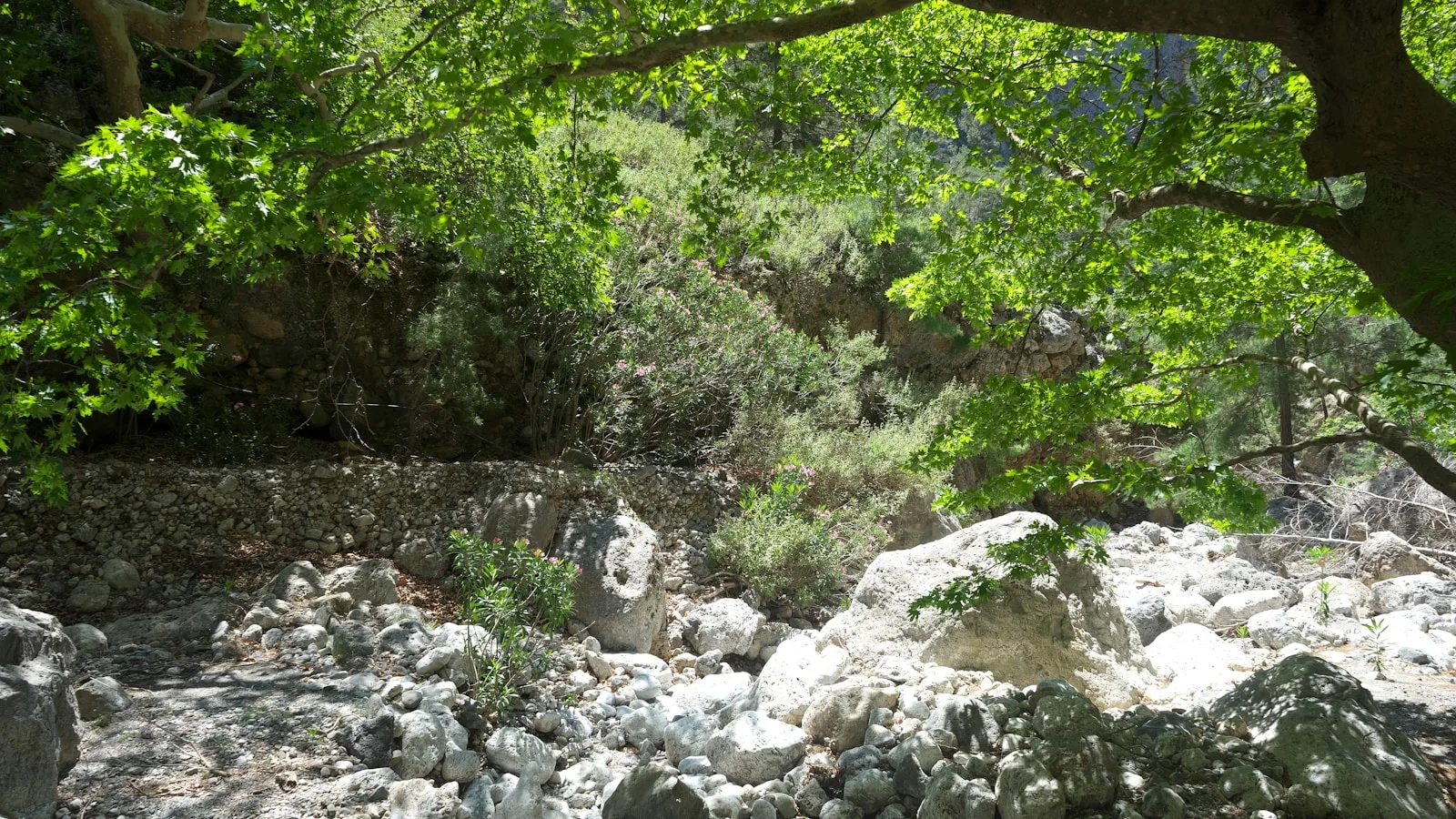 Jour 2 : Les gorges de Samaria
