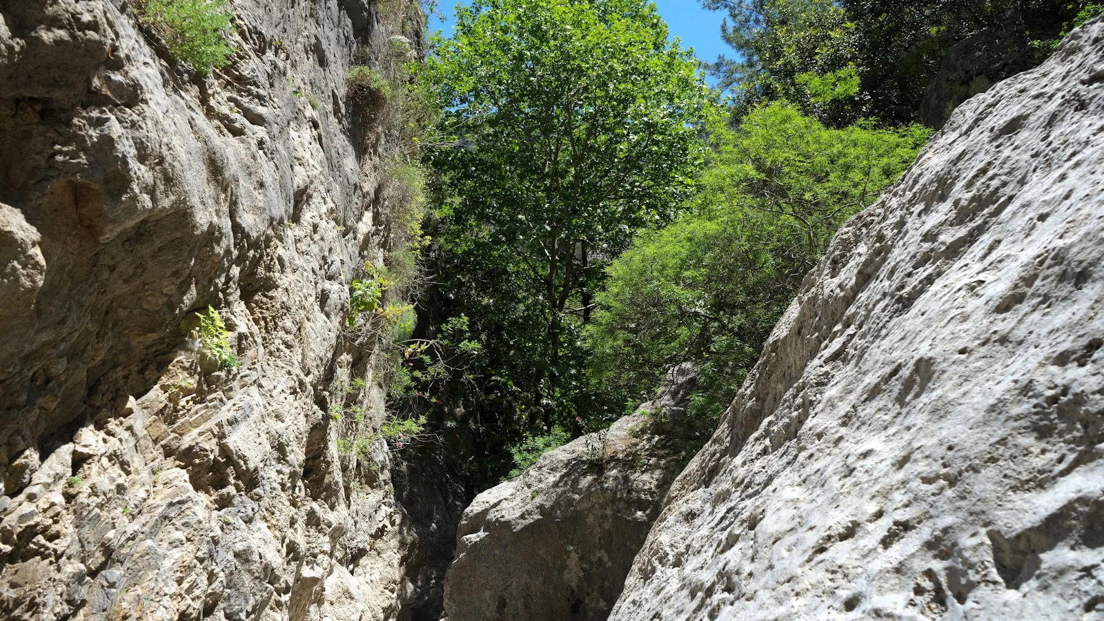 ️ Les gorges de Samaria : la grande traversée de Crète